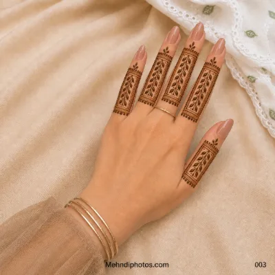 Back hand featuring rectangular finger mehndi panels with leafy vines, fine borders and delicate dotted details.
